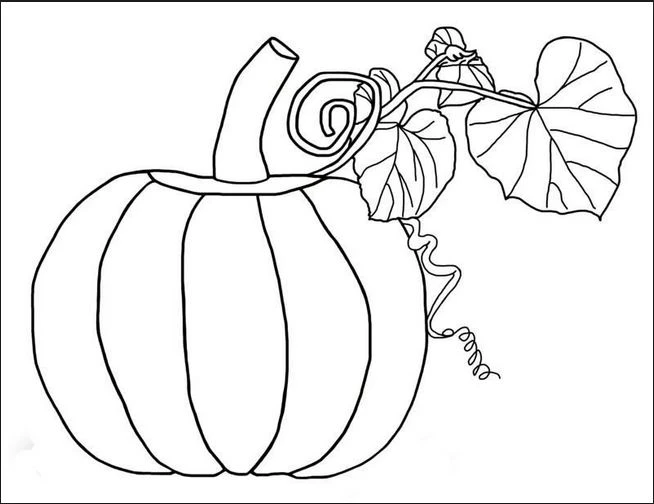 +100 Mẫu Hình tô màu hoa quả đẹp dành cho các bé