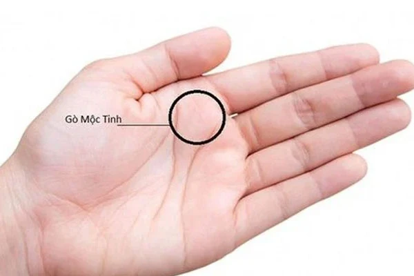 Đường mộc tinh ở lòng bàn tay, chủ nhân có hồng phúc sâu dày, nhiều lộc