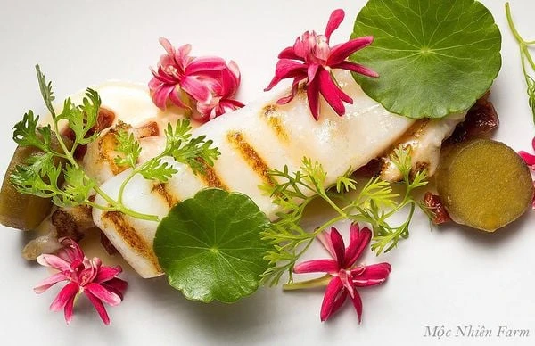 Hoa sử quân tử đơn, leo A1