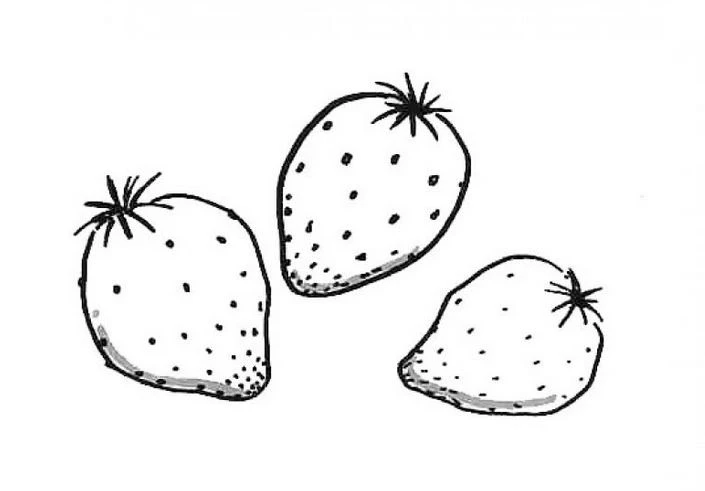 +100 Mẫu Hình tô màu hoa quả đẹp dành cho các bé