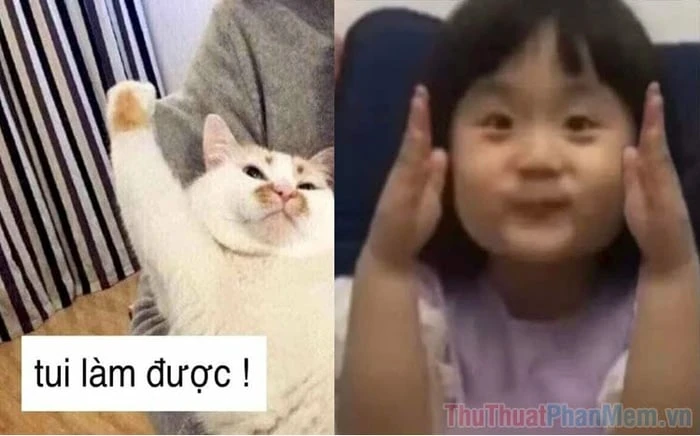 Khám Phá Tay Cầm Súng Meme: Nghệ Thuật Từ Hài Hước