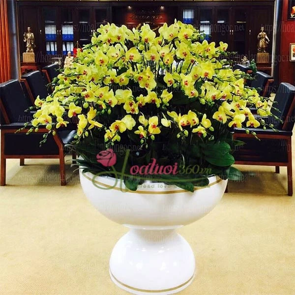 Chưng hoa tết theo phong thủy đẹp và may mắn nhất bạn đã biết chưa?