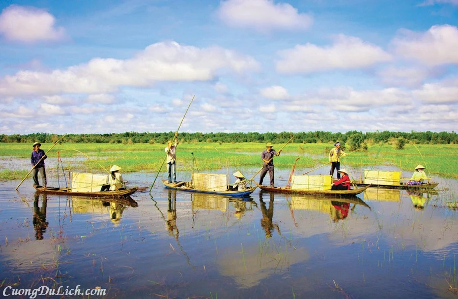 Mùa Nước Nổi Ở Miền Tây Là Gì ? Có Gì ? Mà Hấp Dẫn Đến Vậy