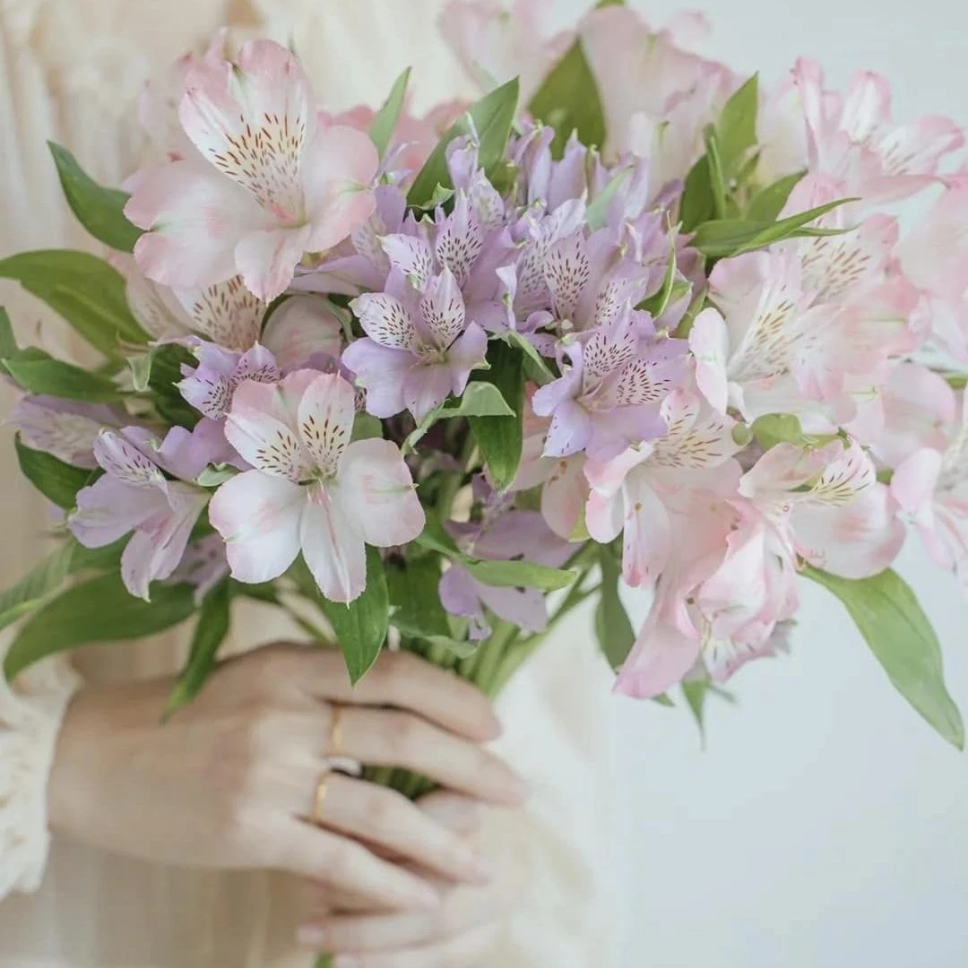 10 Loài hoa mang thông điệp tình yêu đẹp và ý nghĩa nhất