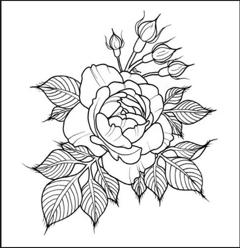 +100 Mẫu Hình tô màu hoa quả đẹp dành cho các bé