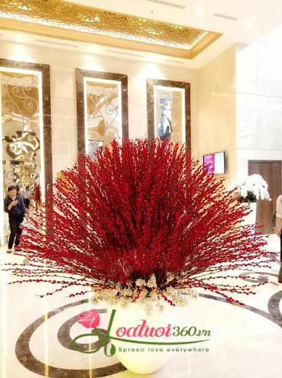 Chưng hoa tết theo phong thủy đẹp và may mắn nhất bạn đã biết chưa?