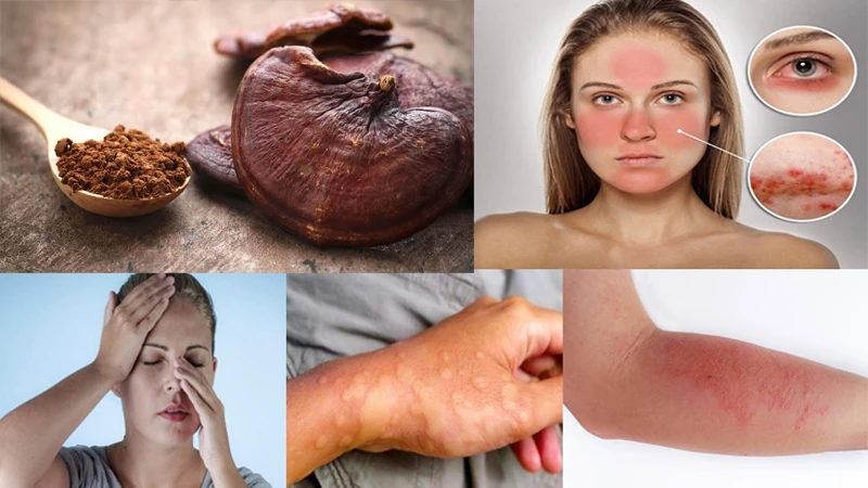 Uống thuốc tây có uống được nấm linh chi không?