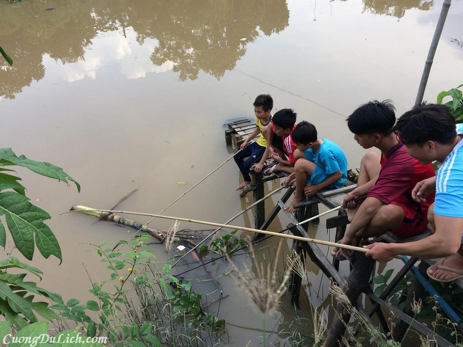 Mùa Nước Nổi Ở Miền Tây Là Gì ? Có Gì ? Mà Hấp Dẫn Đến Vậy