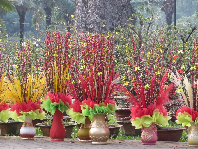 Chưng hoa tết theo phong thủy đẹp và may mắn nhất bạn đã biết chưa?