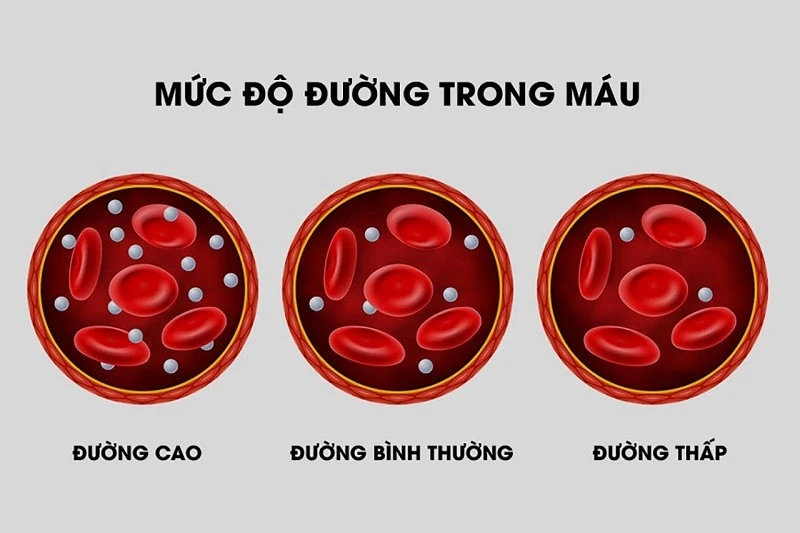 Hoa máu và vai trò trong chẩn đoán bệnh lý