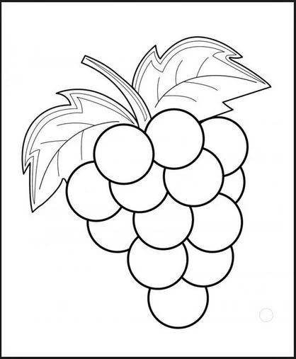 +100 Mẫu Hình tô màu hoa quả đẹp dành cho các bé