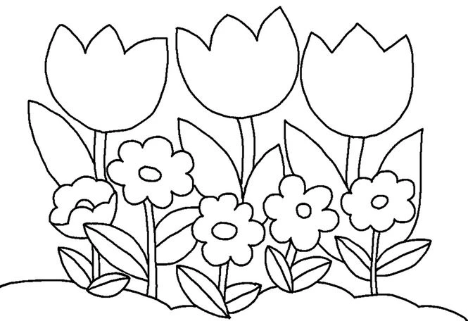 +100 Mẫu Hình tô màu hoa quả đẹp dành cho các bé