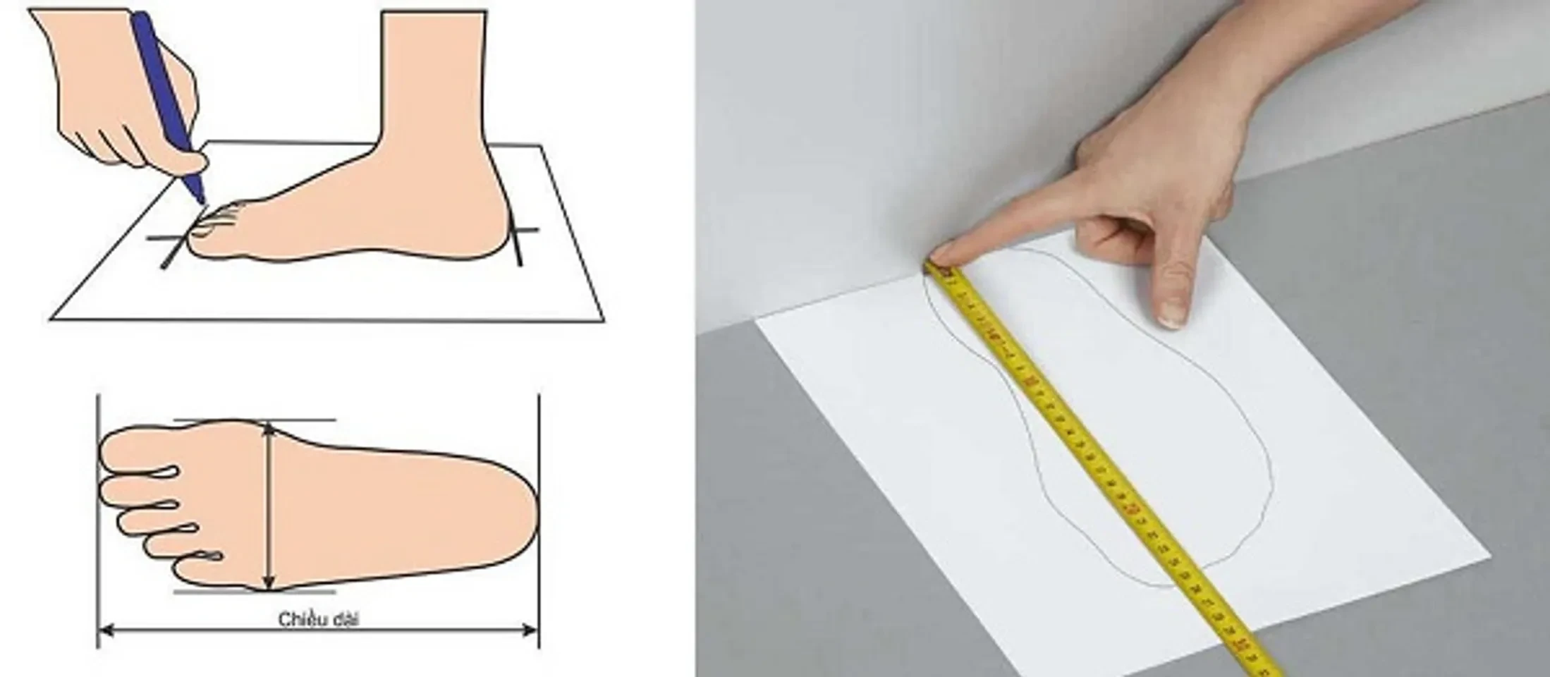 Bảng size giày Adidas nam nữ và trẻ em chuẩn kích cỡ EU UK US