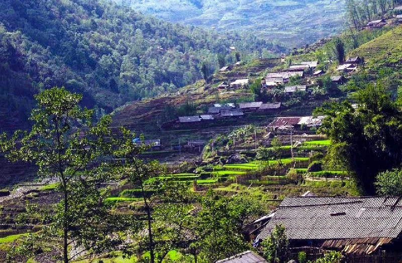 Thông tin giá vé thung lũng Mường Hoa mới nhất 2024