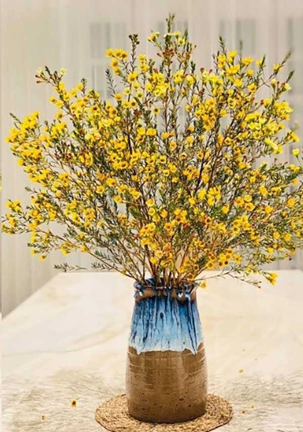 Cách cắm hoa thanh liễu