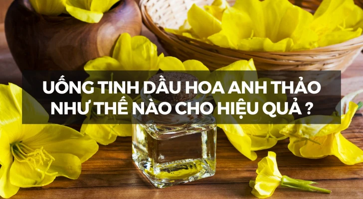Hướng dẫn chị em uống tinh dầu hoa anh thảo đúng cách để mang lại hiệu quả tốt nhất