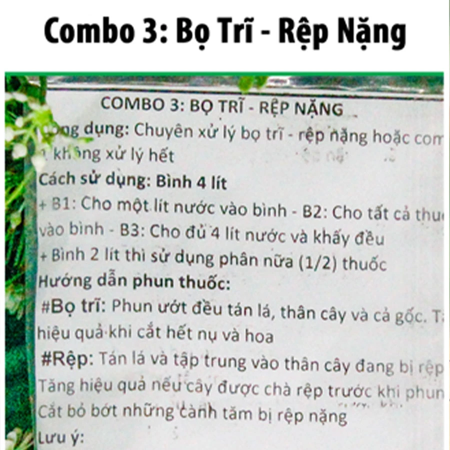 Top 10+ giống hoa hồng ngoại màu vàng cam đẹp nhất