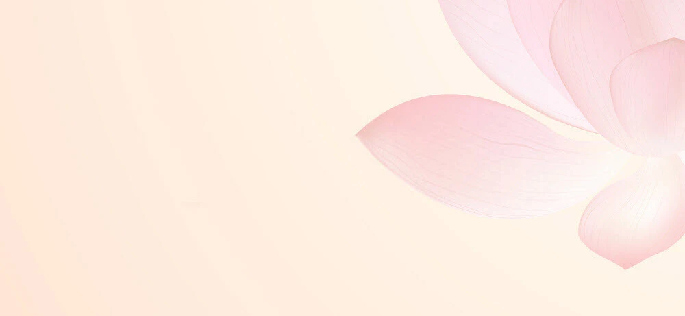 Bộ sưu tập 50+ hình nền Powerpoint hoa sen trang nhã đẹp nhất