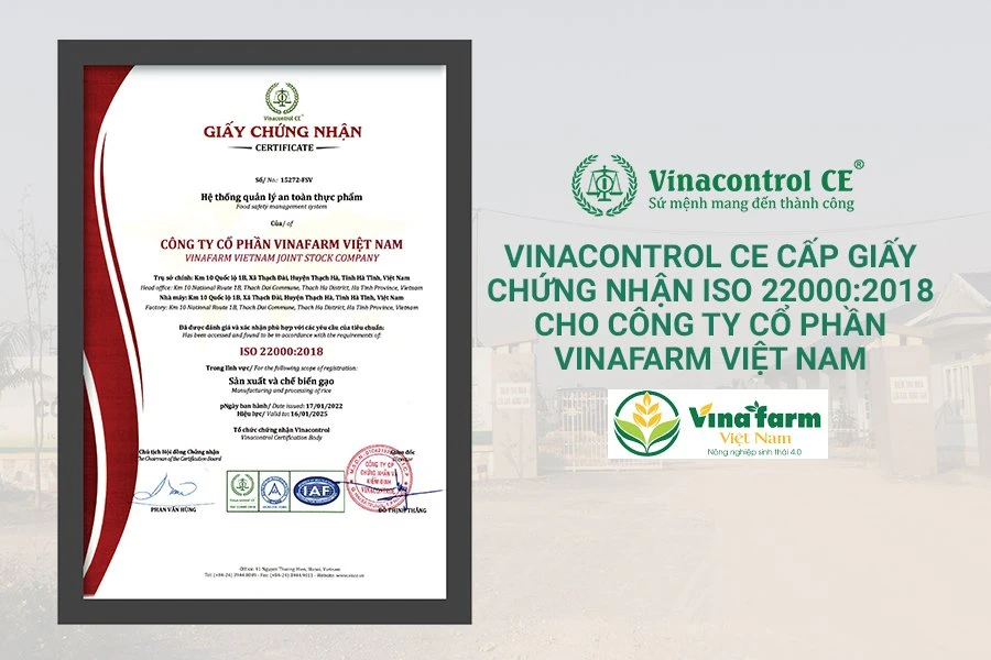 Chứng nhận là gì? Các loại chứng nhận phổ biến hiện nay