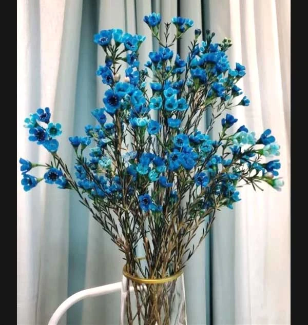 Cách cắm hoa thanh liễu