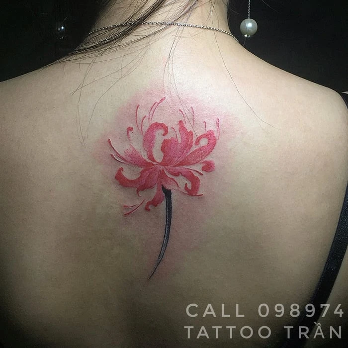 Khám Phá Hơn 50 Mẫu Hình Xăm Hoa Bỉ Ngạn Đẹp Nhất