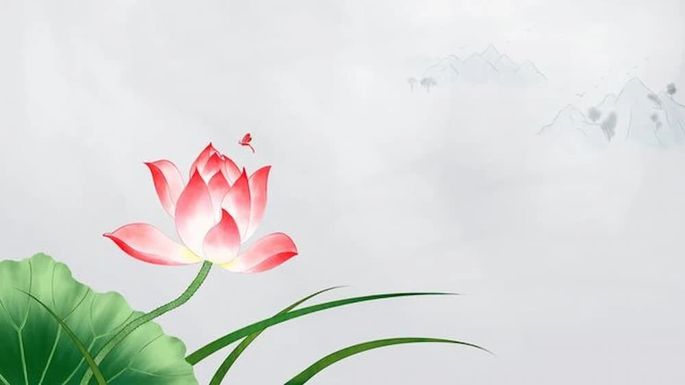 Bộ sưu tập 50+ hình nền Powerpoint hoa sen trang nhã đẹp nhất