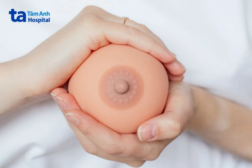Núm vú (đầu ti): Cấu tạo, chức năng và các vấn đề thường gặp