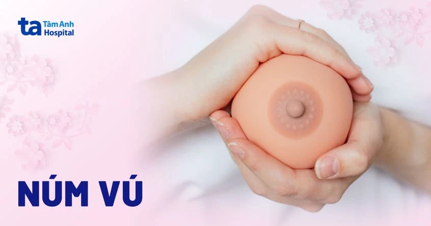 Núm vú (đầu ti): Cấu tạo, chức năng và các vấn đề thường gặp