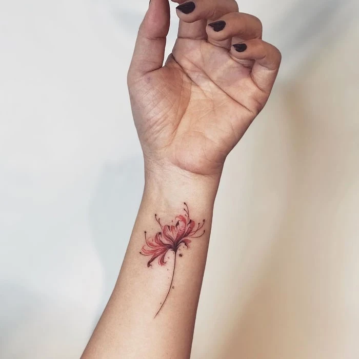 Khám Phá Hơn 50 Mẫu Hình Xăm Hoa Bỉ Ngạn Đẹp Nhất