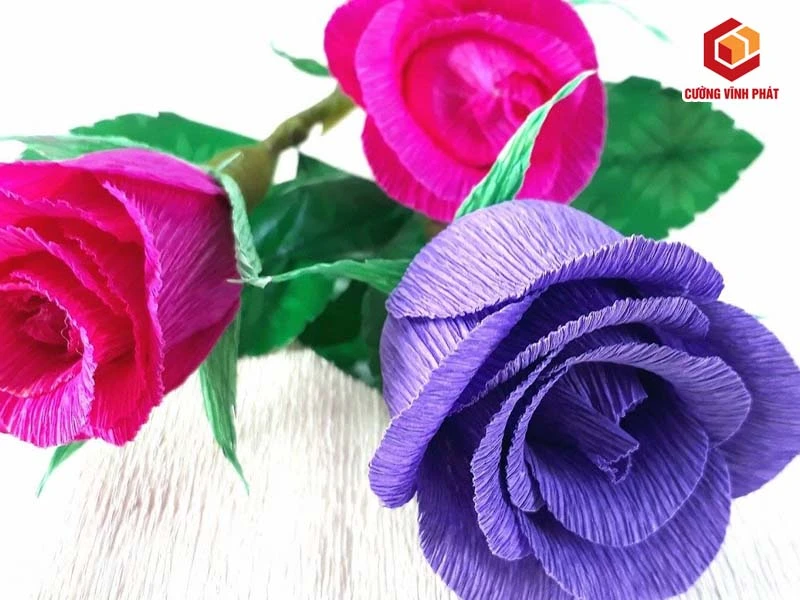 Giấy nhún là gì? Vì sao giấy nhún là nguyên liệu dùng làm hoa giấy