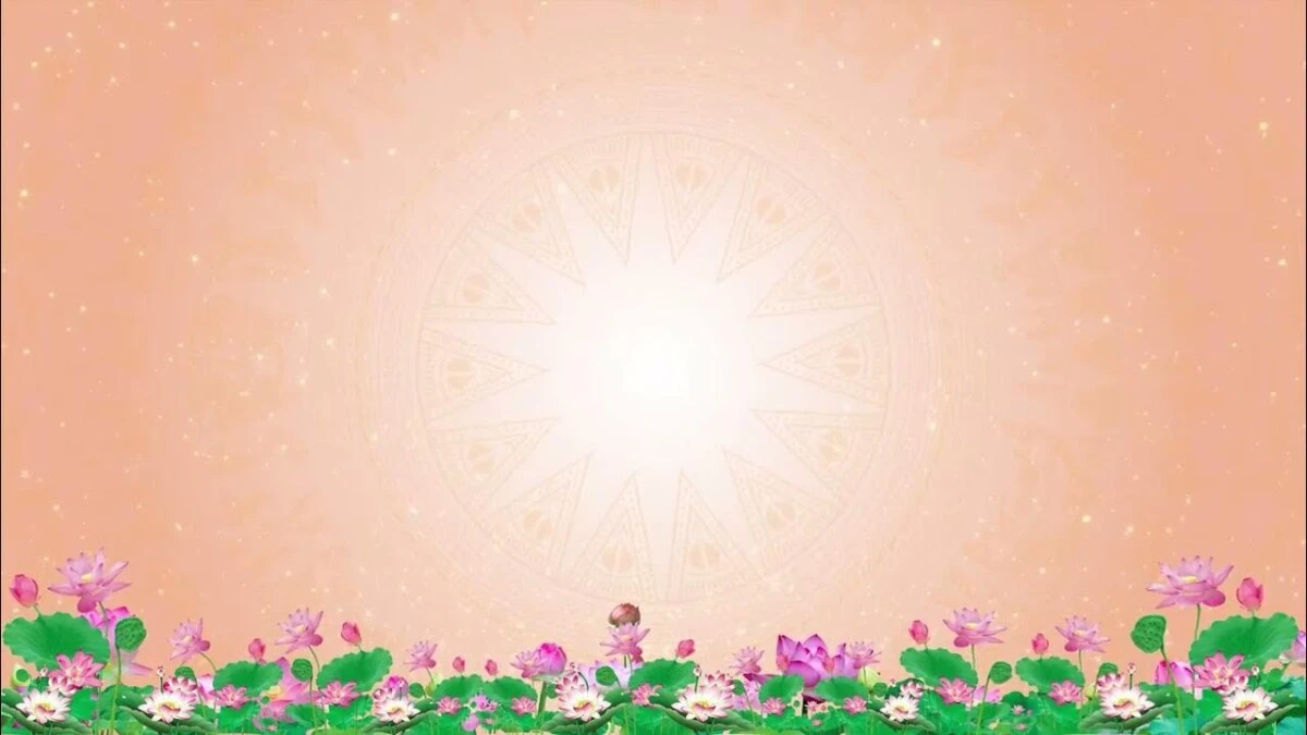 Bộ sưu tập 50+ hình nền Powerpoint hoa sen trang nhã đẹp nhất