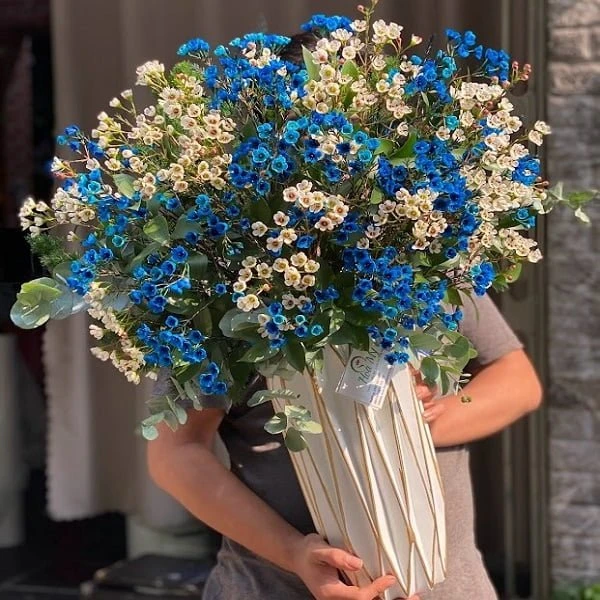 Cách cắm hoa thanh liễu