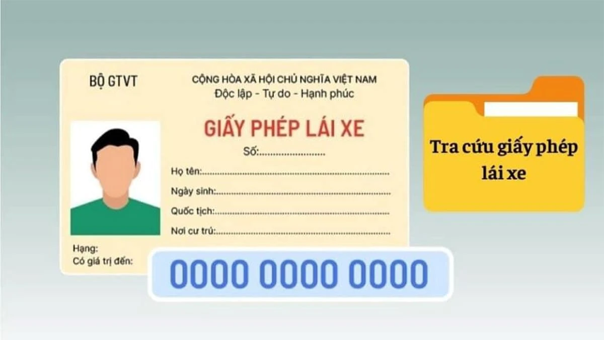 Hướng Dẫn Tra Cứu Giấy Phép Lái Xe Cần Biết