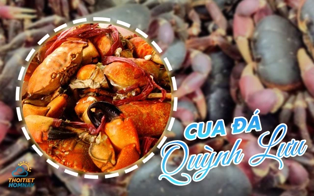 Thời tiết Quỳnh Lưu Nghệ An