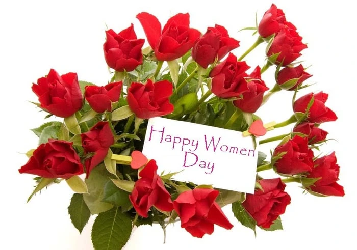 Bộ sưu tập hình ảnh hoa Hồng tuyệt vời nhất