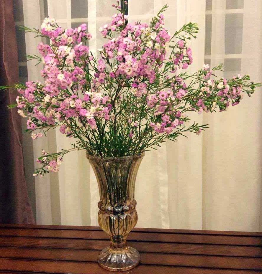 Cách cắm hoa thanh liễu