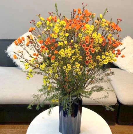 Cách cắm hoa thanh liễu