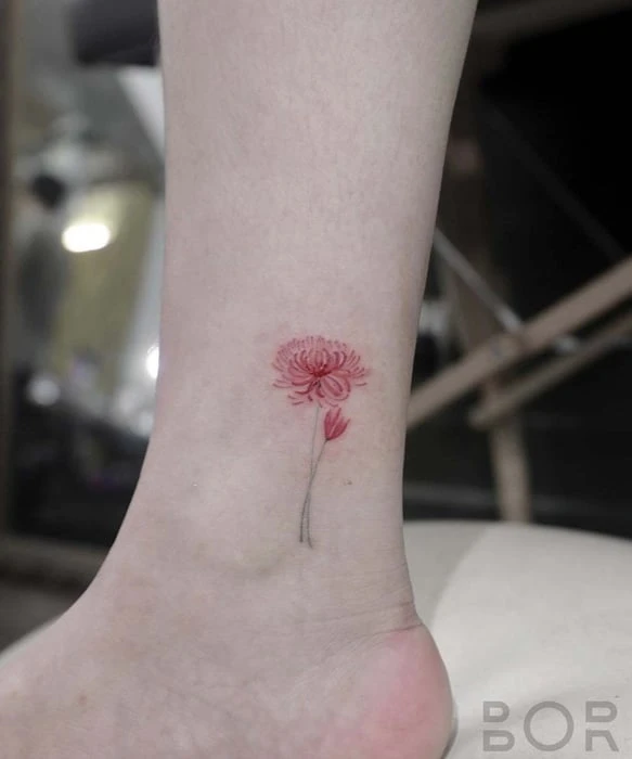 Khám Phá Hơn 50 Mẫu Hình Xăm Hoa Bỉ Ngạn Đẹp Nhất