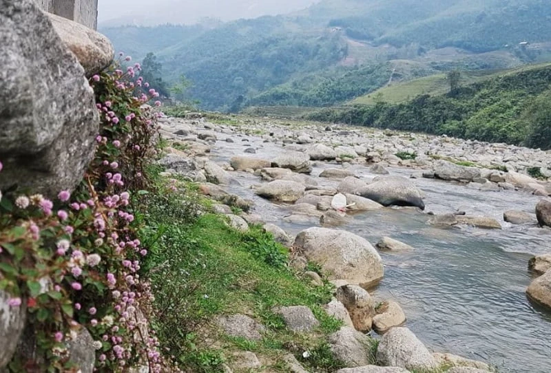 Thông tin giá vé thung lũng Mường Hoa mới nhất 2024