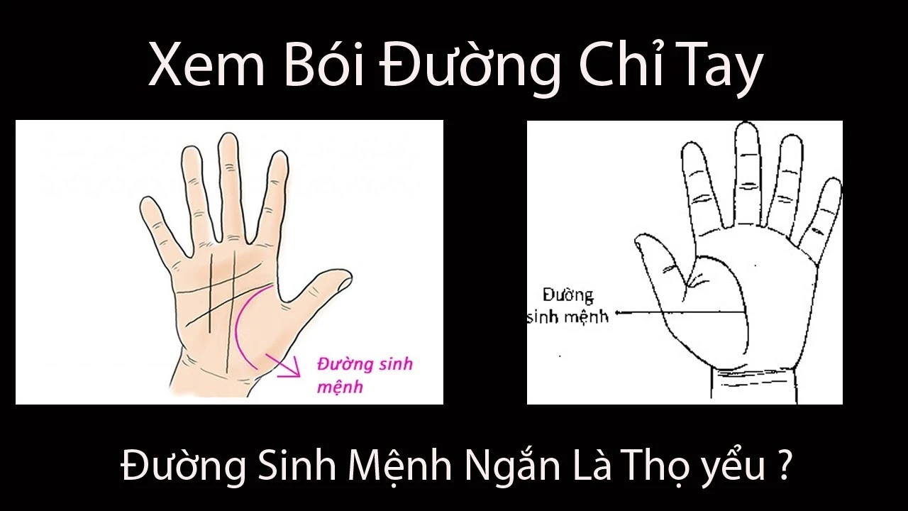 Đường chỉ tay chết sớm và ý nghĩa tâm linh của nó
