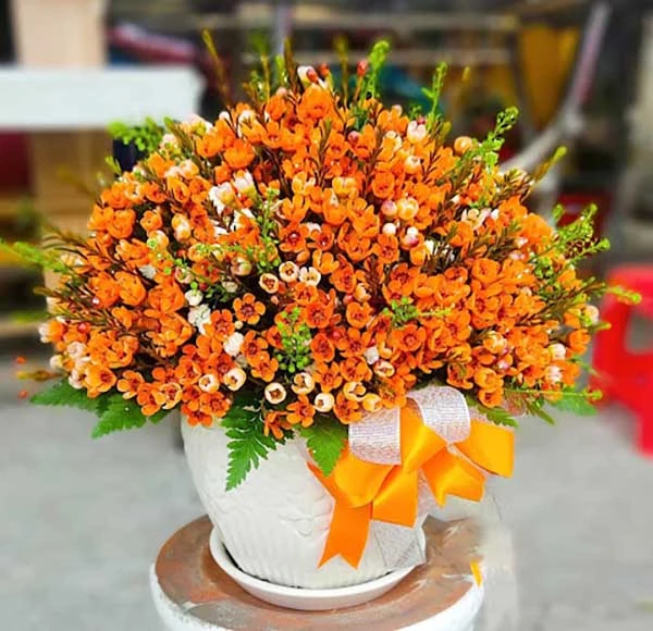 Cách cắm hoa thanh liễu