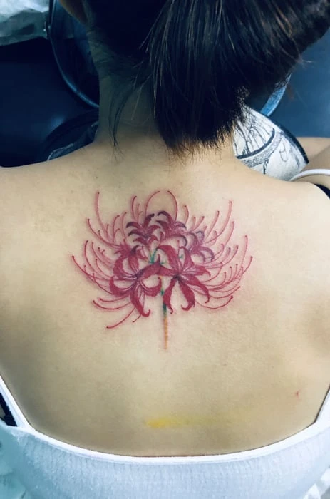 Khám Phá Hơn 50 Mẫu Hình Xăm Hoa Bỉ Ngạn Đẹp Nhất