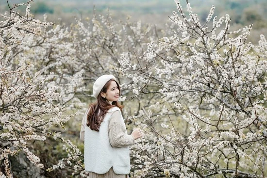 Hoa mận - Mỹ cảnh tuyệt trần giữa tiết trời lập xuân