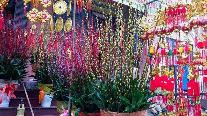 Tìm hiểu nguồn gốc, ý nghĩa và cách cắm của Nụ tầm xuân