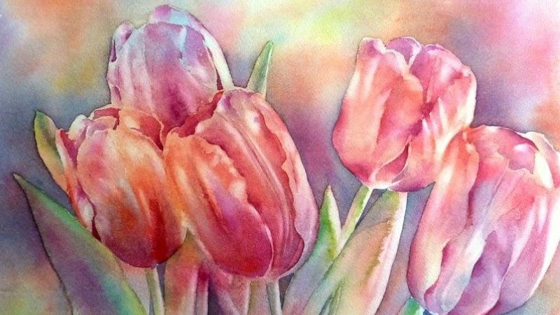 Vẽ hoa tulip ấn tượng nhất, mẫu tranh hoa tulip đẹp dễ vẽ