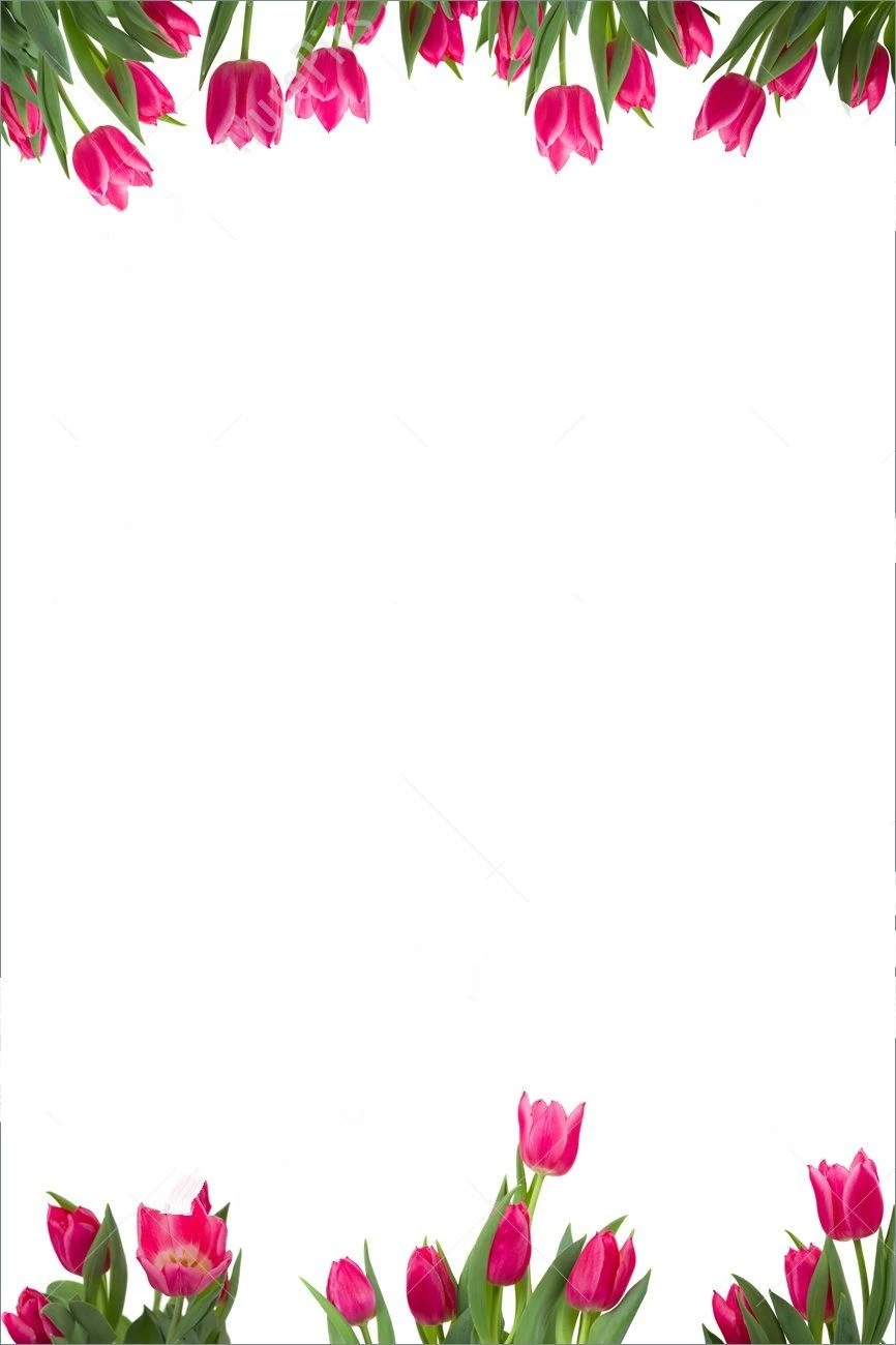 Vẽ trang trí viền giấy A4 đẹp nhất