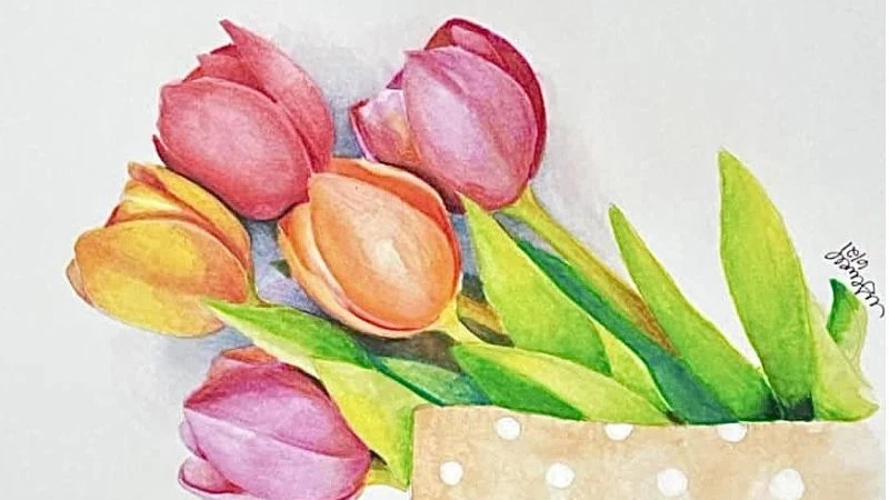 Vẽ hoa tulip ấn tượng nhất, mẫu tranh hoa tulip đẹp dễ vẽ