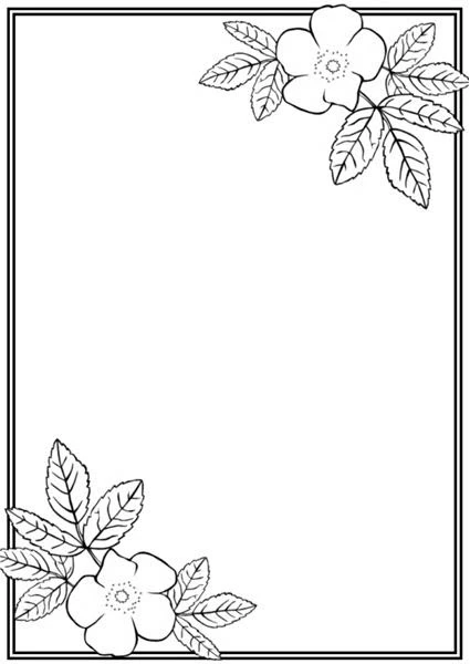 Vẽ trang trí viền giấy A4 đẹp nhất