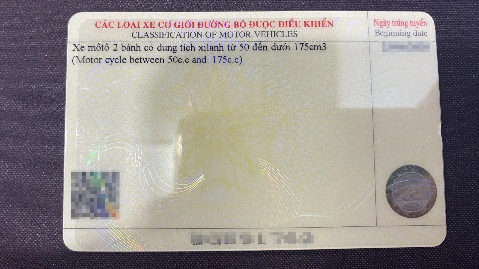 Bằng lái xe có màu gì?