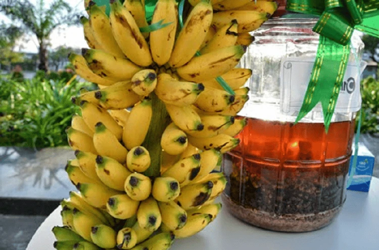 Khám Phá Rượu Hoa Quả: Hương Vị Từ Thiên Nhiên